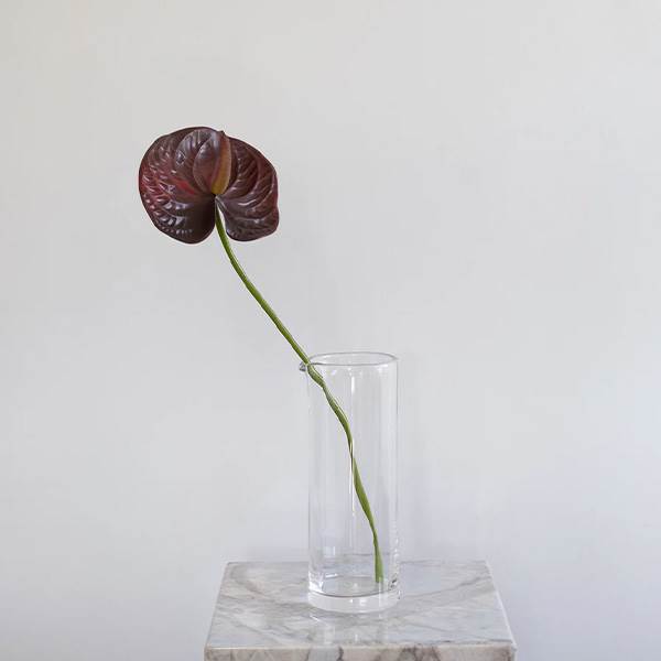 Specktrum Artificial Flowers Anthurium - Burgundy : Erling Christensen Møbler