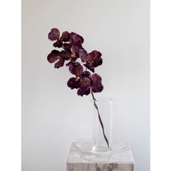 Specktrum Artificial Flowers Orchid (7 heads) - Burgundy : Erling Christensen Møbler