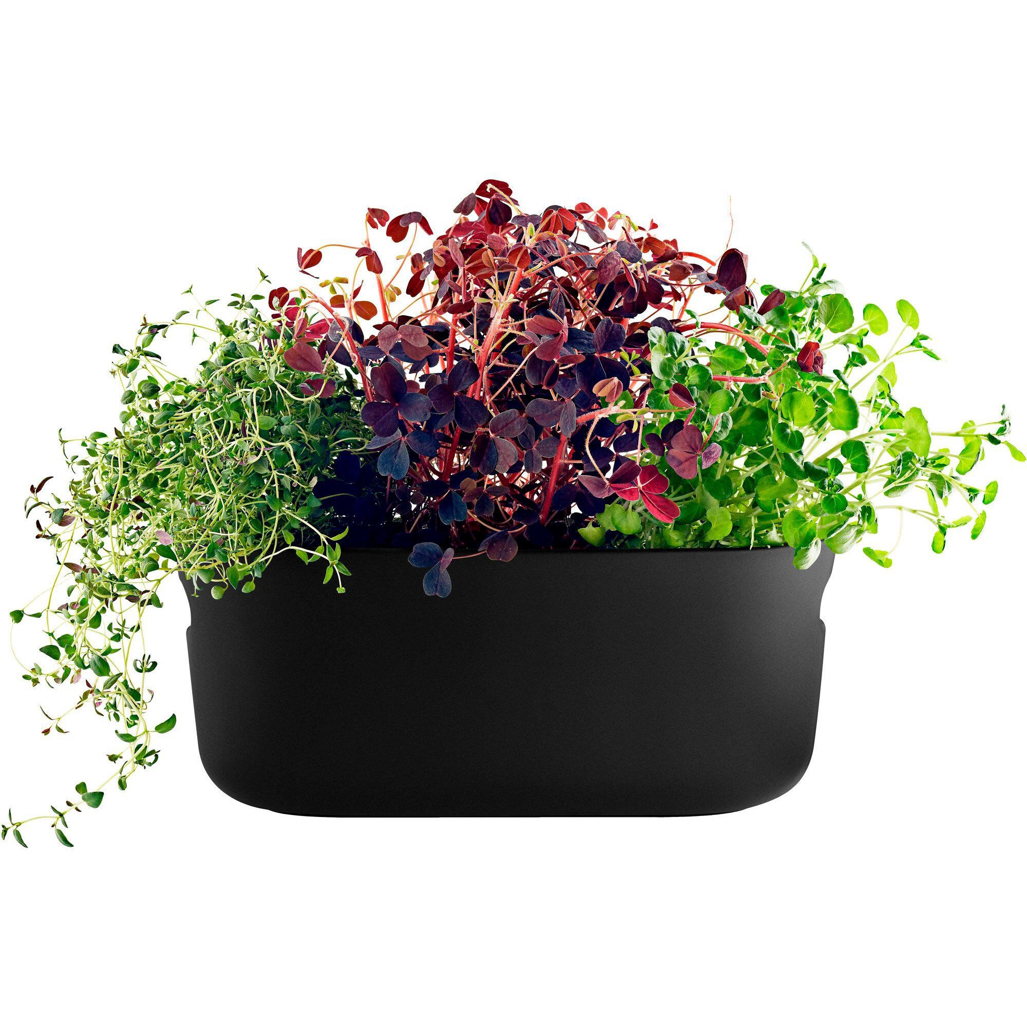 Eva solo Selvvandende Herb Organiser Sort