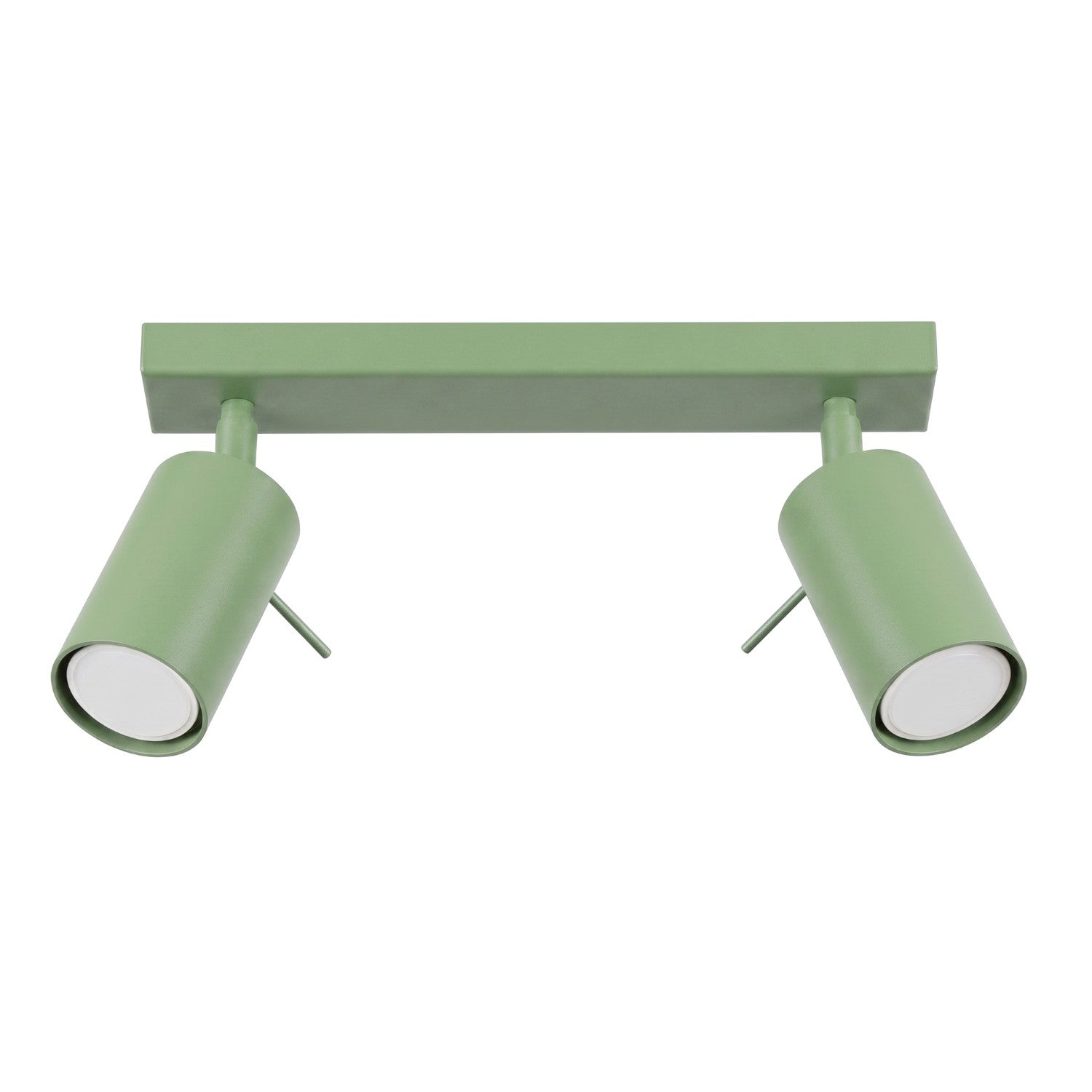 Loftlampe RING 2 salvie