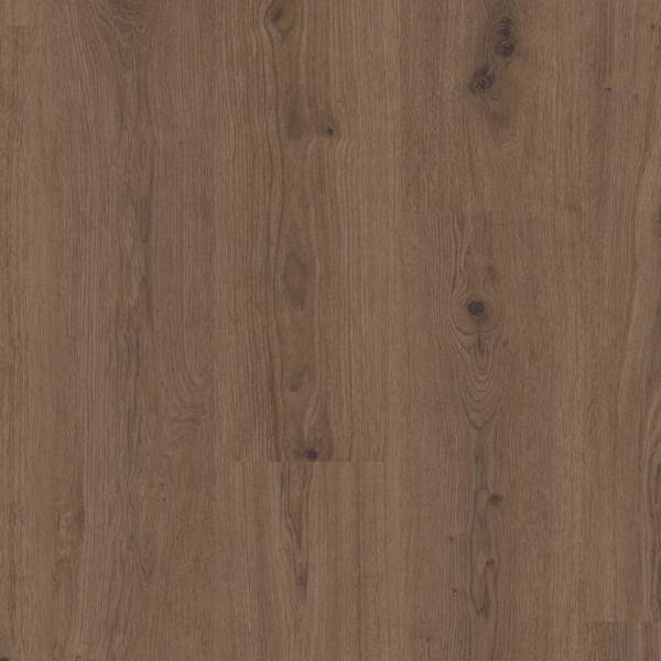 Tarkett Vinylgulv - Elegance Rigid 55 - Delicate Oak Brown  : Erling Christensen Møbler
