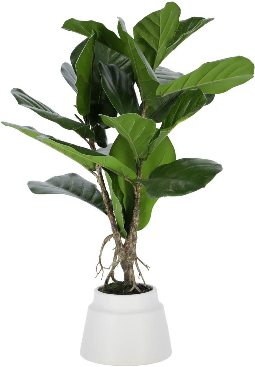 Kunstig dekorationsplante Kave Home Lyrata H60ÃØ30 cm vedligeholdelsesfri moderne design