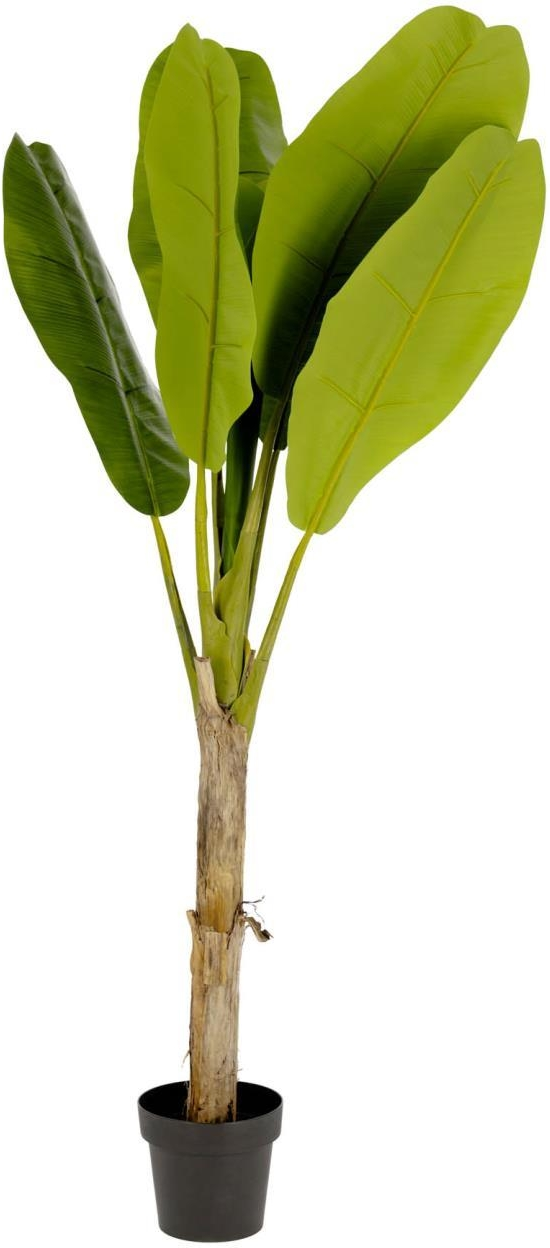 Kunstig stueplante Kave Home Ficus-serie 160 cm grøn moderne indendørs dekoration