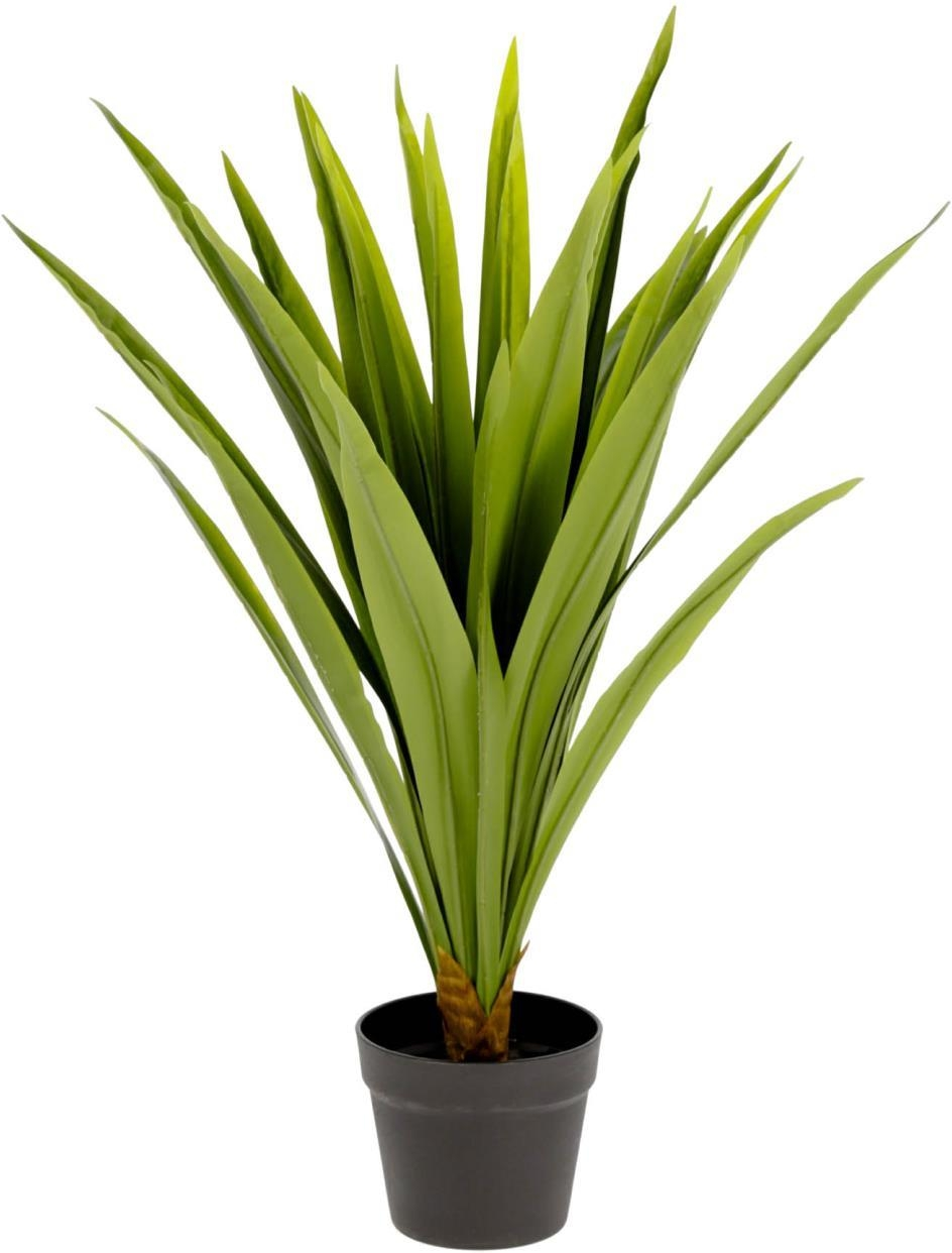 Kunstig plante Kave Home Yucca H80 Ø60 cm  -  moderne boligdekoration