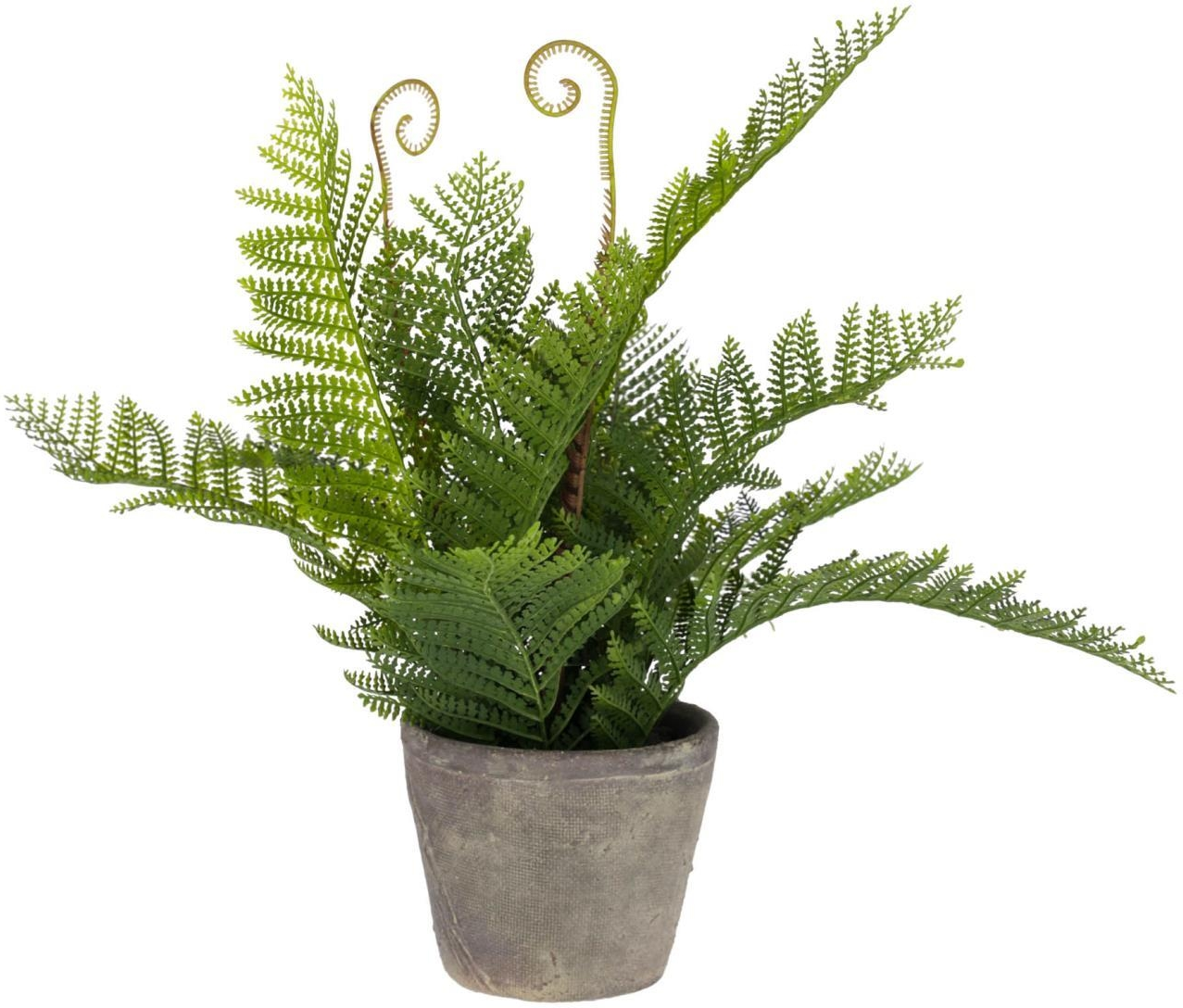 Kunstig Plante Kave Home Filicopsida, Grøn Med Rustik Grå Potte H35ÃØ40 cm  -  Indendørs Dekoration