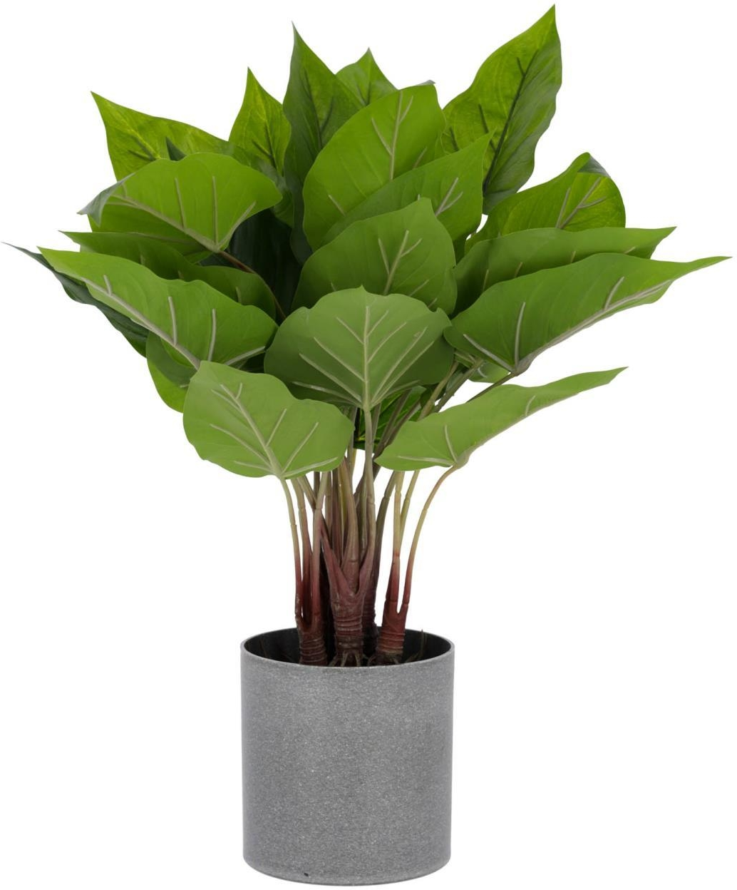Kunstig plante Kave Home Anthurium 50 cm i grå potte vedligeholdelsesfri dekoration til hjem og kontor