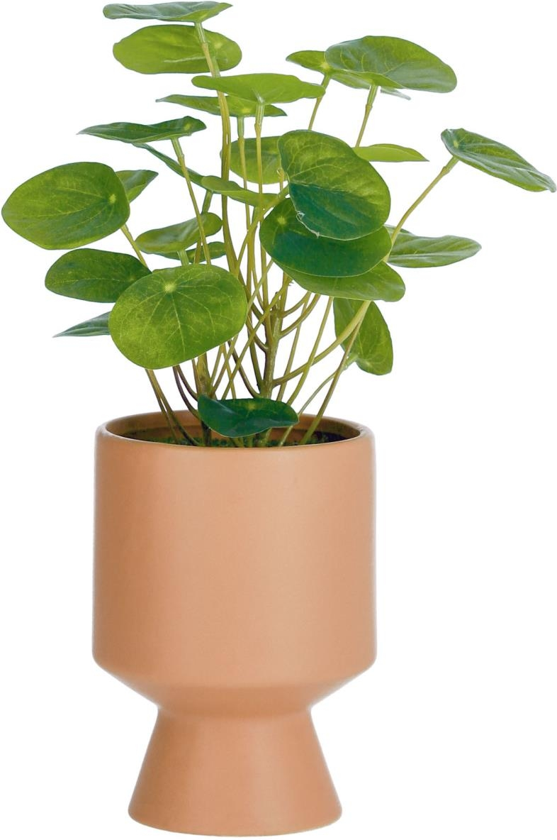 Kunstig dekorationsplante Kave Home Bailey  -  lyserød keramikpotte  -  H28xØ20 cm
