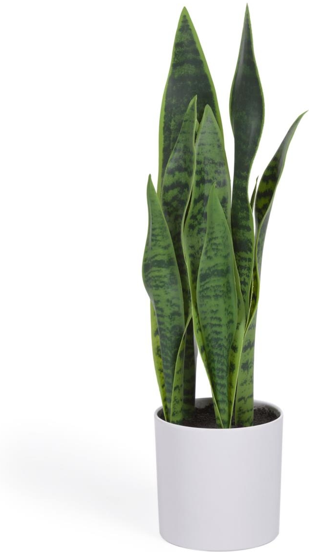 Kunstig plante Kave Home Sansevieria  -  dekorativ imitation sansevieria i hvid potte med rustik kolonial charme