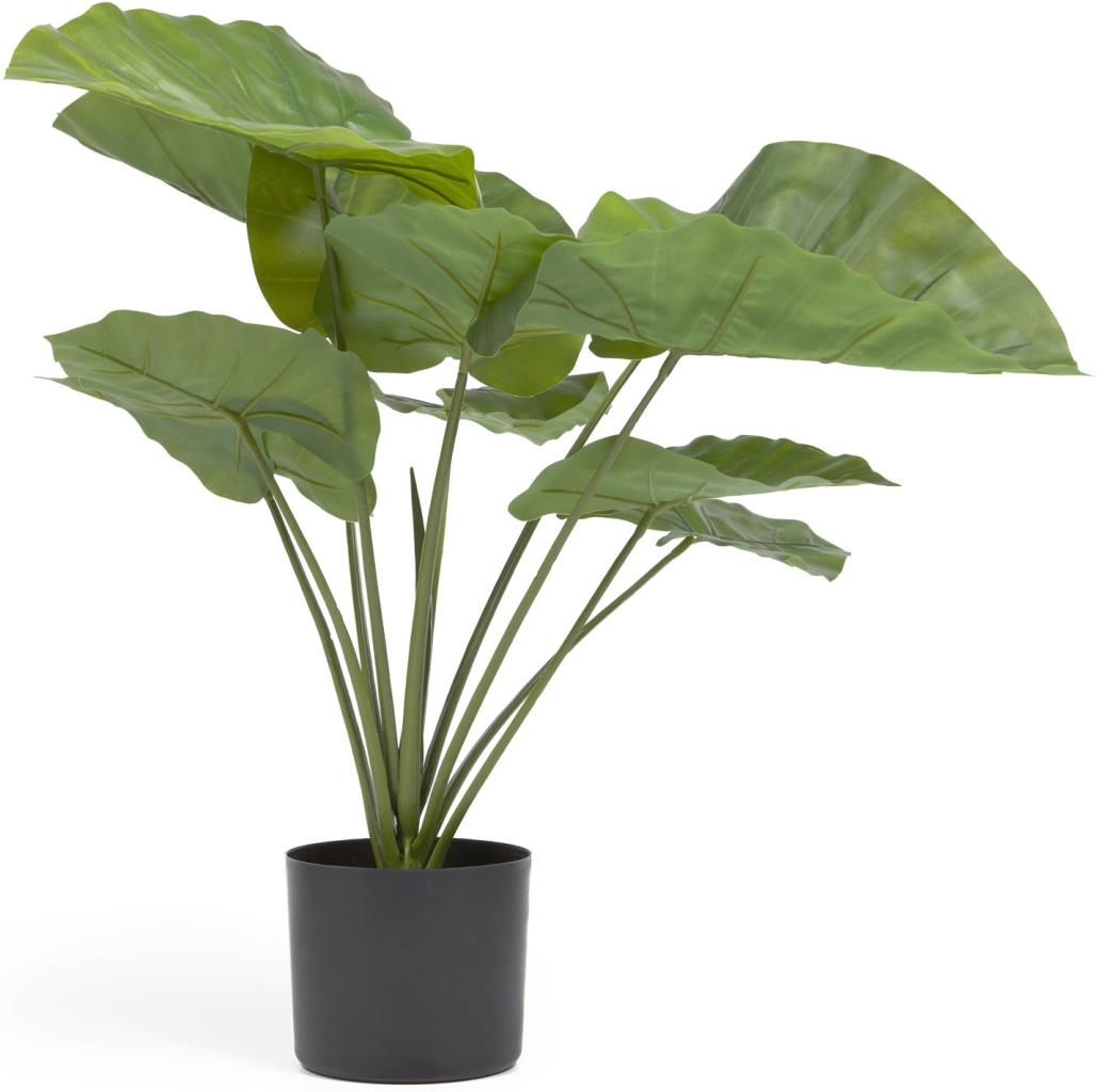Kunstig Alocasia-plante Kave Home Alocasia H57ÃB63 cm  -  realistisk boligtilbehør, dekorationsplante i sort potte