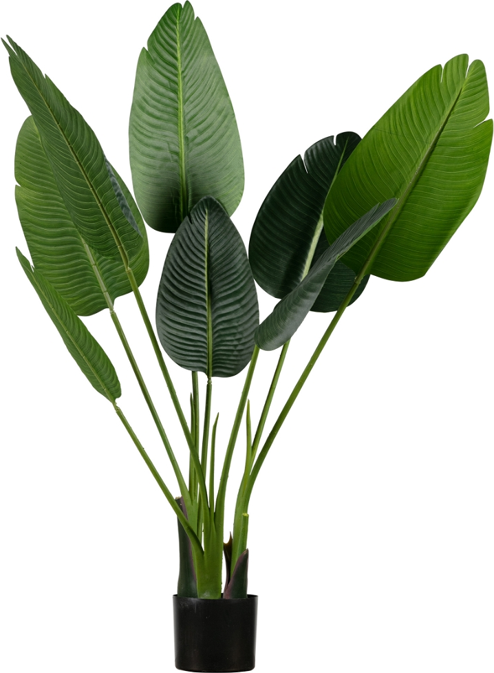 Kunstig Strelitzia-plante WOOOD  -  justerbar dekorationsplante 108Ã61Ã50 cm