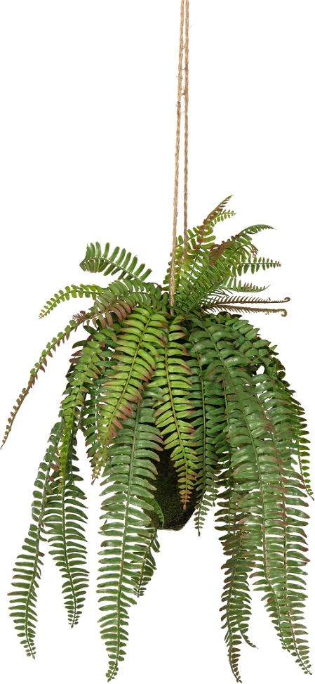 Kunstig plante WOOOD Fern H58 cm Ø30 cm  -  naturtro dekorativ hængende boligtilbehør i plast & jern, grøn