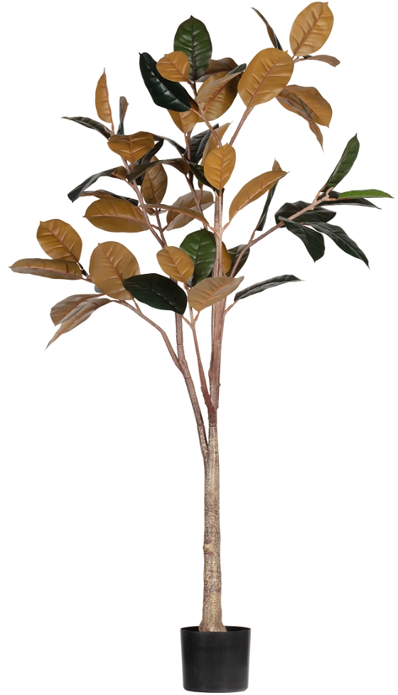 Kunstig grøn plante WOOOD Rubber  -  naturtro dekorationsplante H170xB63xL106 cm, vedligeholdelsesfri