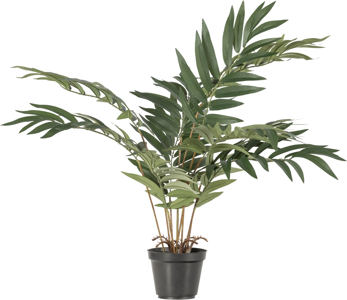 Kunstig plante WOOOD Kwai H68 x B50 x D51 cm naturtro grøn indendørs boligindretning