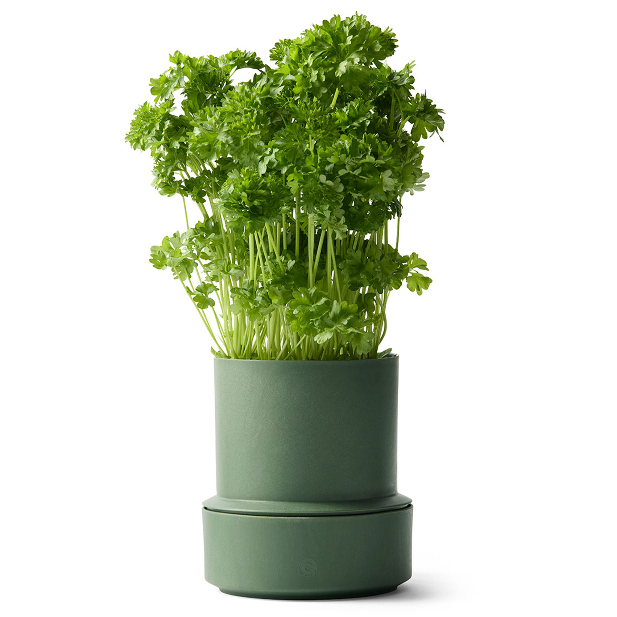 Crushgrind Billund selvvandings potte, parsley