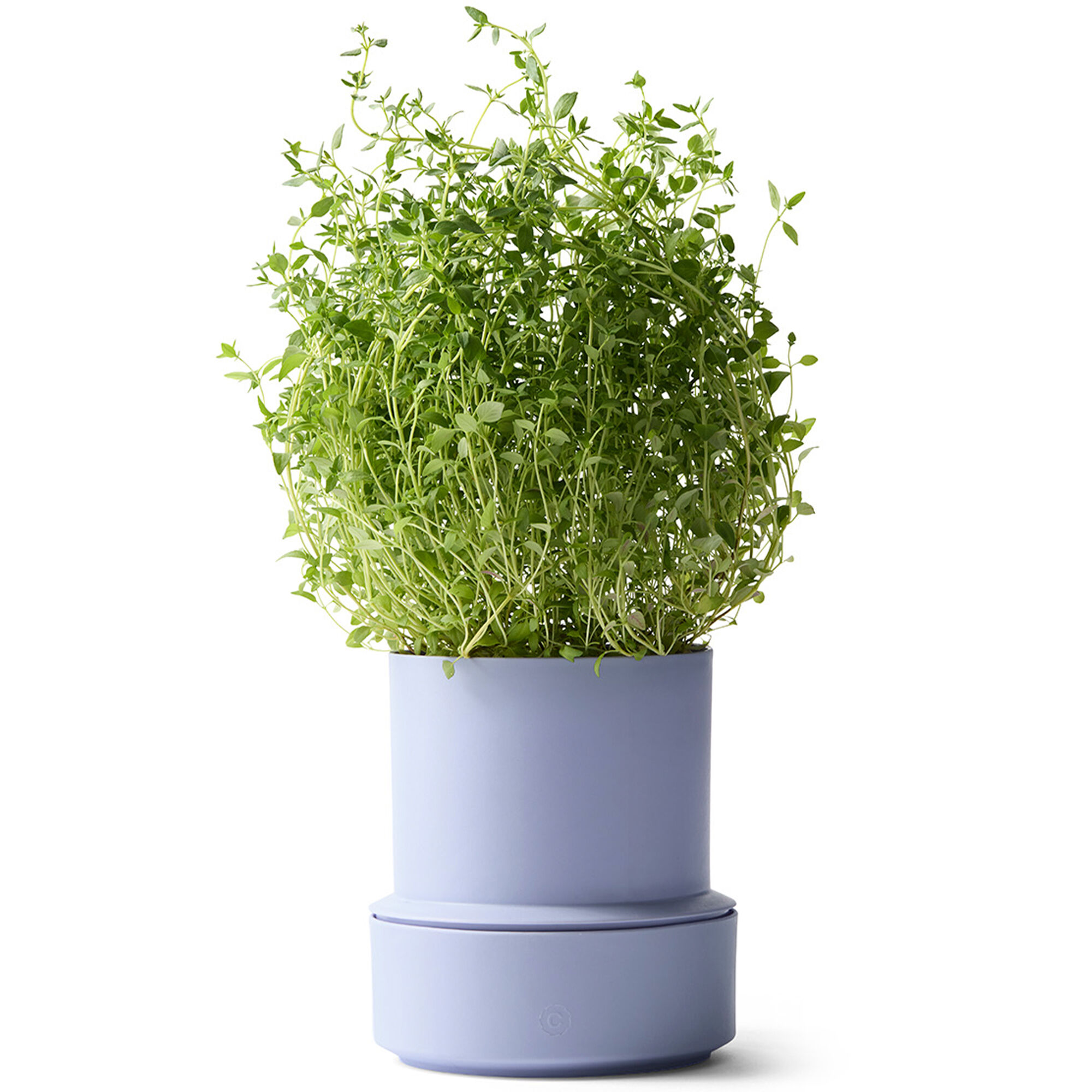 Crushgrind Billund selvvandings potte, lavender
