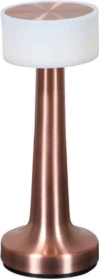 LED udendørslampe House of Sander Kaya bronzefarvet stål H21 x B8 cm
