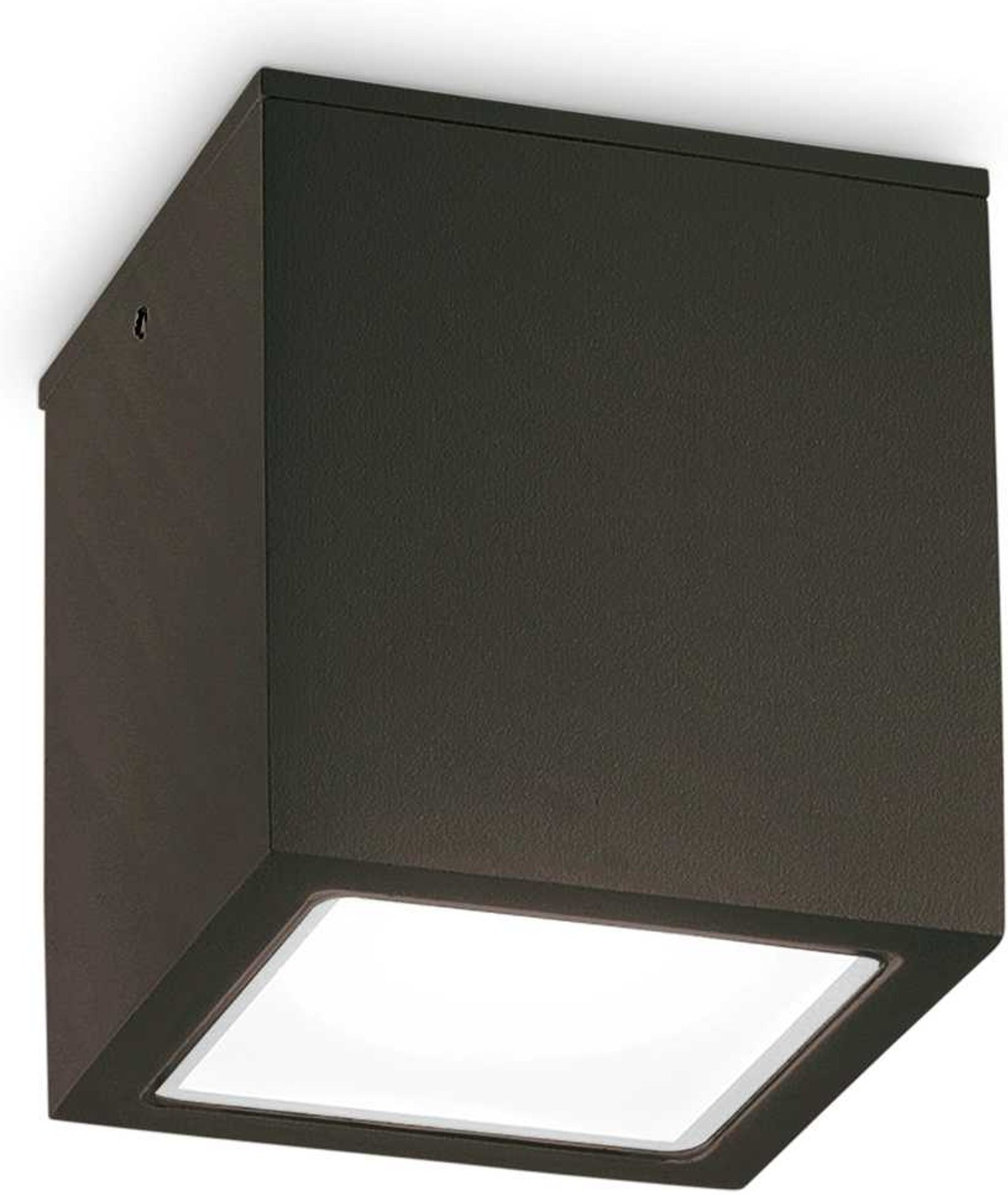 Udendørs loftlampe/plafond Ideal Lux Techo 15Ã15Ã16 cm sort IP54 GU10 metal og glas