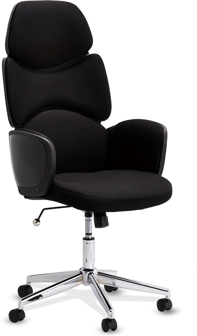 Kontorstol / arbejdsstol Raymond & Hallmark Warton, ergonomisk med lænde- og nakkestøtte, stof, armlæn, højdejusterbar, sort